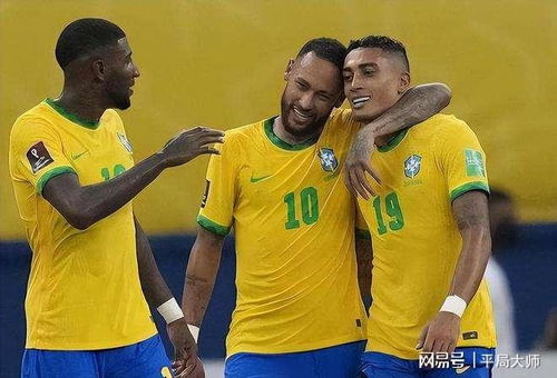 巴西对战克罗地亚,卡卡世界杯进球总数？